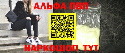 крисы Моздок