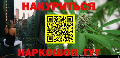 крисы Моздок