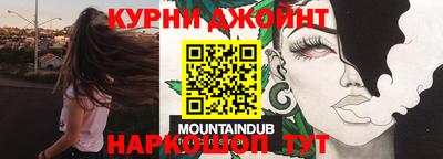крисы Моздок
