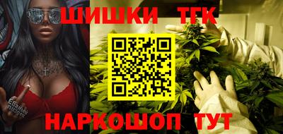 крисы Моздок
