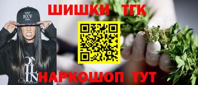 крисы Моздок
