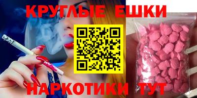 крисы Моздок