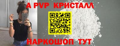 крисы Моздок