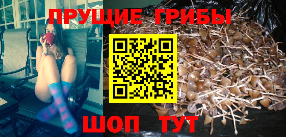 Галлюциногенные грибы мицелий Тайшет