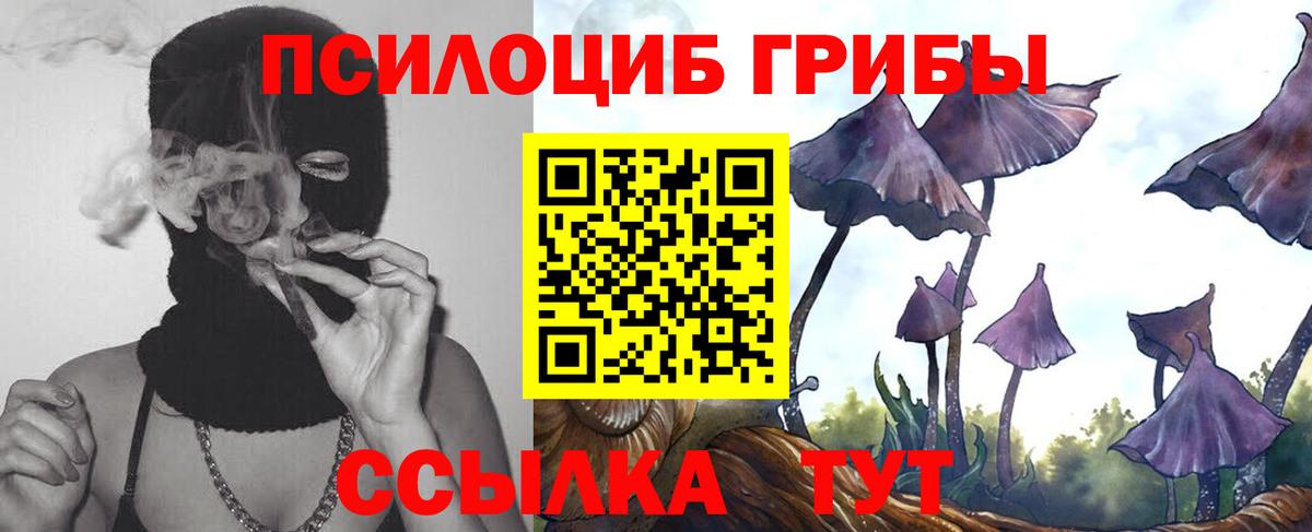 Галлюциногенные грибы мухоморы  Галлюциногенные грибы MAGIC MUSHROOMS  Тайшет  Вход с VPN 